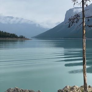 Meet your Posher, Shelley